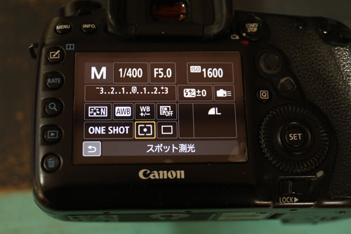 逆光｜写真テクニックガイド