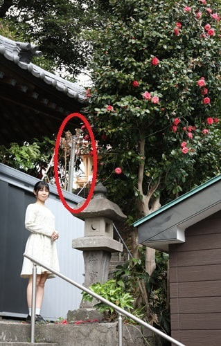 斜光｜写真テクニックガイド