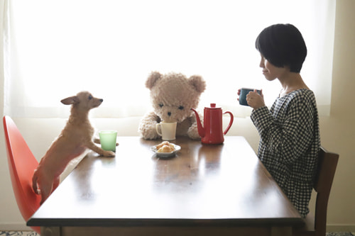 絞り、シャッタースピード、ISO感度の基本を簡単に解説