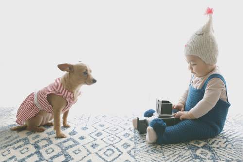 ライカを使うのは哲学だと想うのです