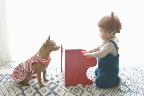 お家でおしゃれな写真を撮るアイデア 晴天、曇天、雨天の違い