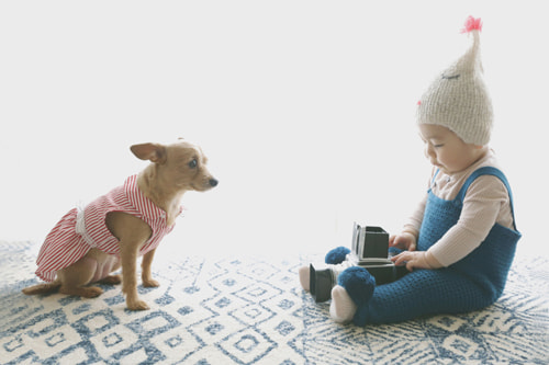 お家でおしゃれな写真を撮るアイデア 季節感を出す写真