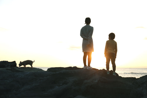 マニュアル撮影の作例｜逆光