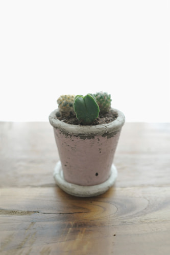 ライカを使うのは哲学だと想うのです