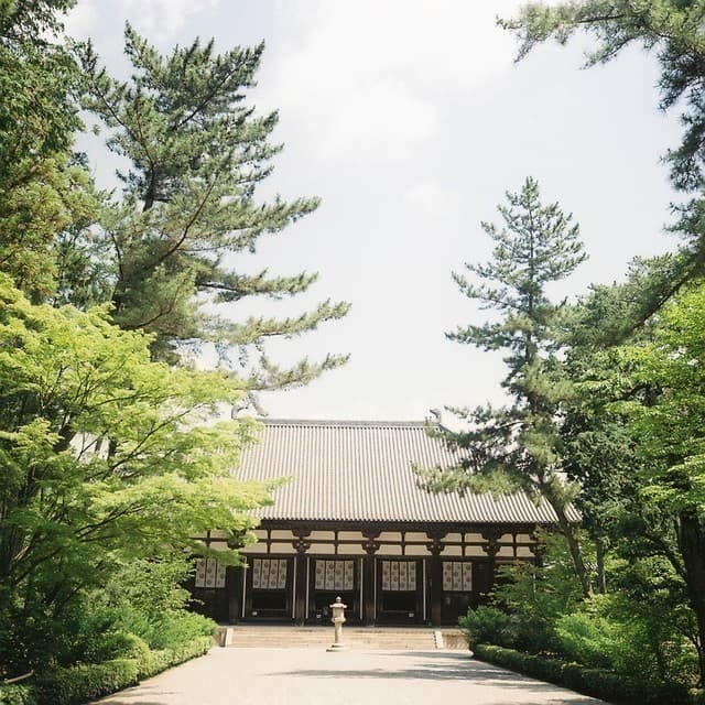 Hasselblad500C Planar C80mm f2.8｜作例｜寺の風景