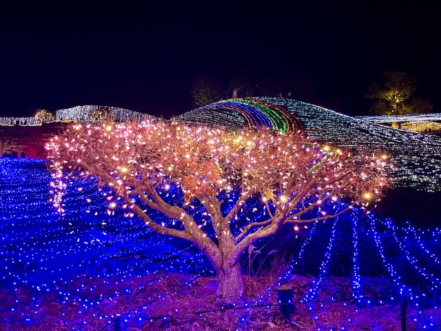 夜景を綺麗に撮影する方法｜イルミネーション