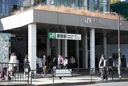 明治神宮の写真スポット｜美しく撮れるおすすめ撮影ポイント｜最寄り駅