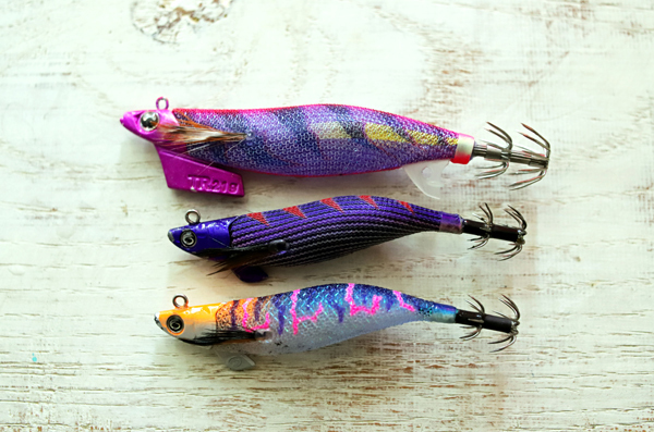 陸っぱりでティップランエギング