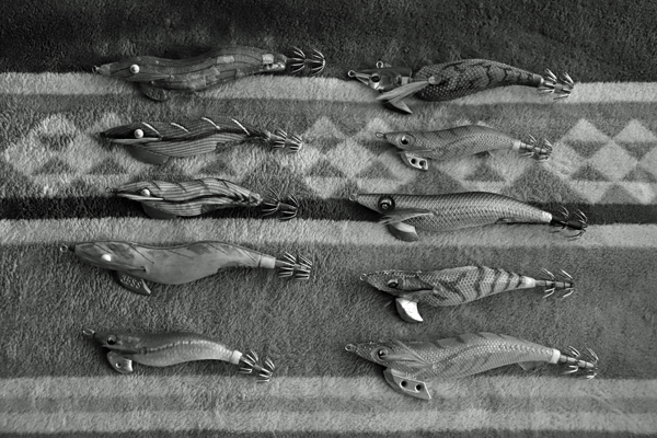 エギングのエギにおけるカラー＆サイズ選択