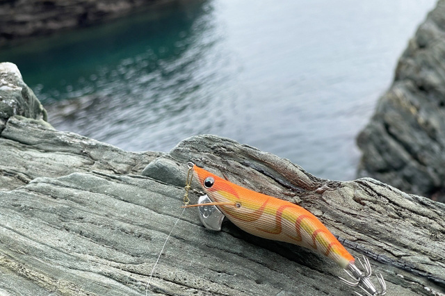 ただ巻きエギングは釣れる！やり方、スピード、向いてるエギ、昼＆夜