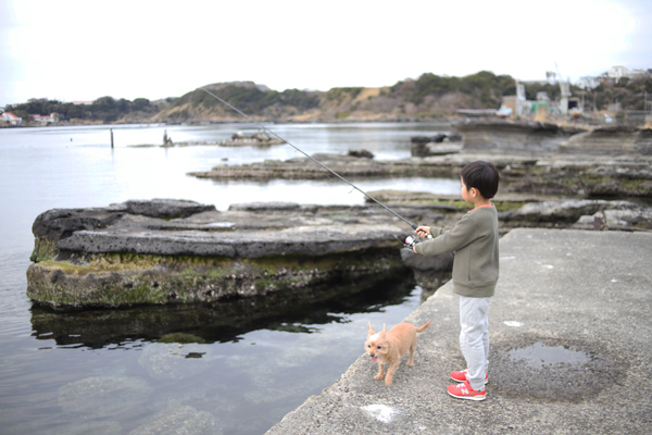 エギをロストさせない