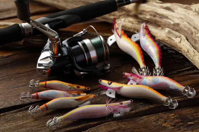 城ヶ島 エギング