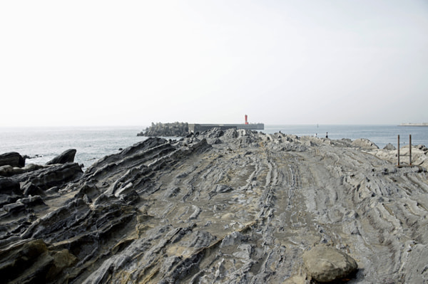 城ヶ島アジング