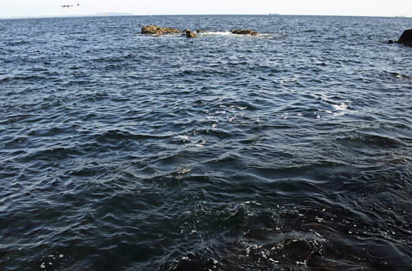 灯台(旧安房埼灯台跡安房崎)